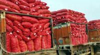 Onion imports resume through Hili land port