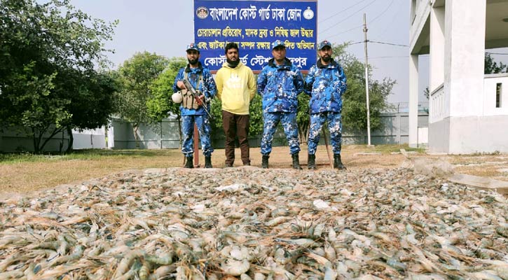 চাঁদপুরে জেলি পুশ করা সাড়ে ২৫ মণ চিংড়ি জব্দ