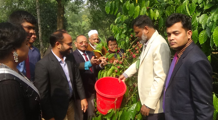 খাগড়াছড়িতে কফি চাষের উপযোগিতা নিয়ে মতবিনিময় সভা