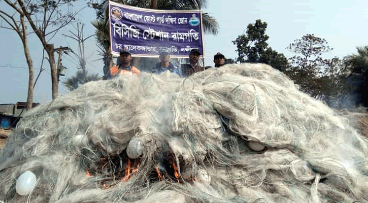 রামগতিতে জব্দকৃত সাড়ে ৬ লাখ মিটার কারেন্ট জাল ধ্বংস 