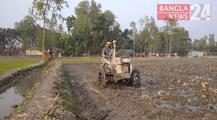 রংপুরে বোরো চাষে প্রতি বিঘায় খরচ বাড়বে সাড়ে ৪ হাজার টাকা