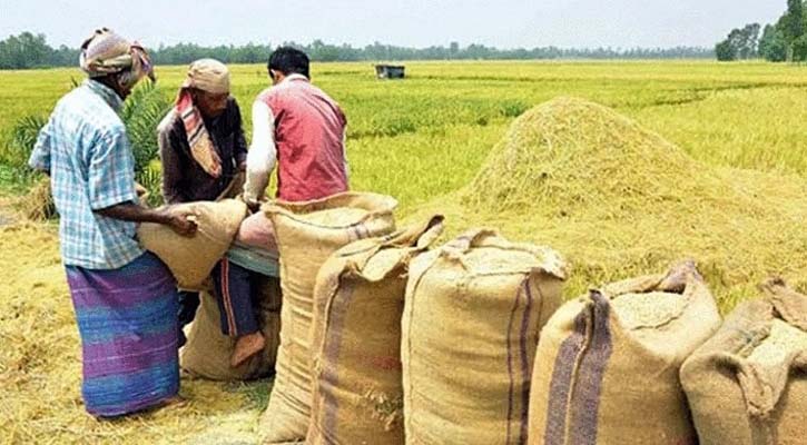 হুমকির মুখে অভ্যন্তরীণ আমন ধান-চাল সংগ্রহ