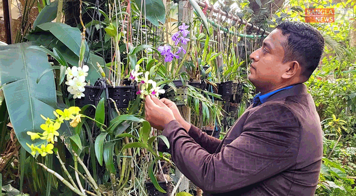 কুমিল্লাকে 'সবুজ' করতে চান ডা. নাঈম