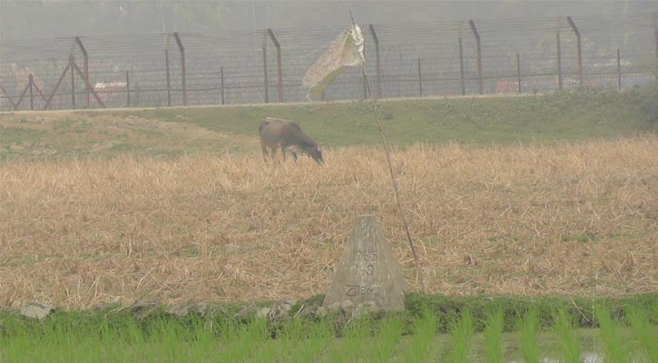 বকশীগঞ্জে সেই জায়গায় বসল নতুন আন্তর্জাতিক সীমানা পিলার 