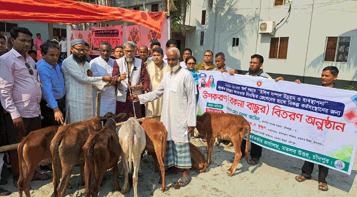 নিবন্ধিত জেলেদের মধ্যে বকনা বাছুর বিতরণ