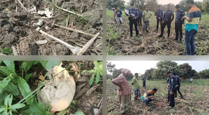 চাঁপাইনবাবগঞ্জে আখ ক্ষেত থেকে কঙ্কাল উদ্ধার