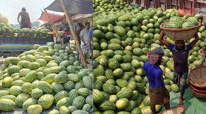 চাঁদপুর-চট্টগ্রামবাসীর চাহিদা মেটাচ্ছে বরিশালের তরমুজ