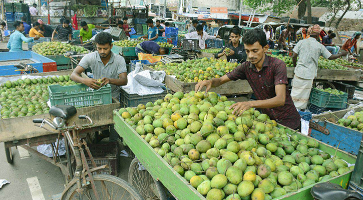 প্রতি ক্যারেটে পচা আম, ক্ষতির মুখে আড়তদাররা