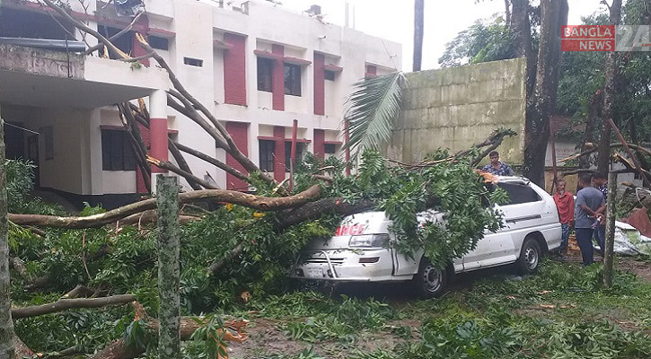 ঝড়ে গাছ পড়ে বৃদ্ধ নিহত, জেলে নিখোঁজ