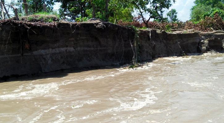 যমুনায় হু হু করে পানি বাড়ছে, নিম্নাঞ্চল প্লাবিত হওয়ার শঙ্কা 