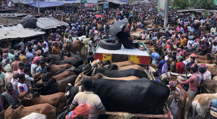 শেষ মুহূর্তে জমজমাট পশুর হাট, তবে কমছে না দাম