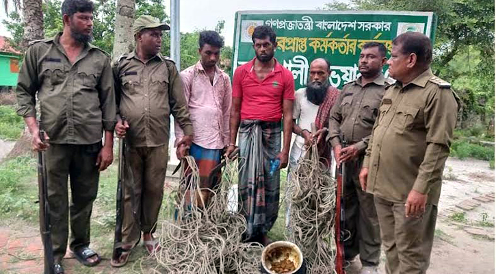 সুন্দরবনে হরিণের রান্না করা মাংসসহ তিন শিকারী আটক