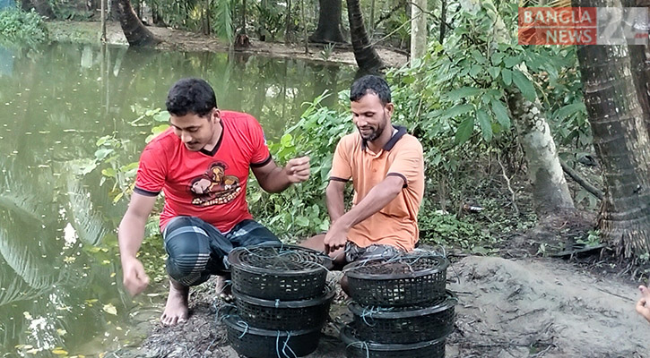 ভোলায় ঝিনুকে মুক্তা চাষে সফলতার হাতছানি