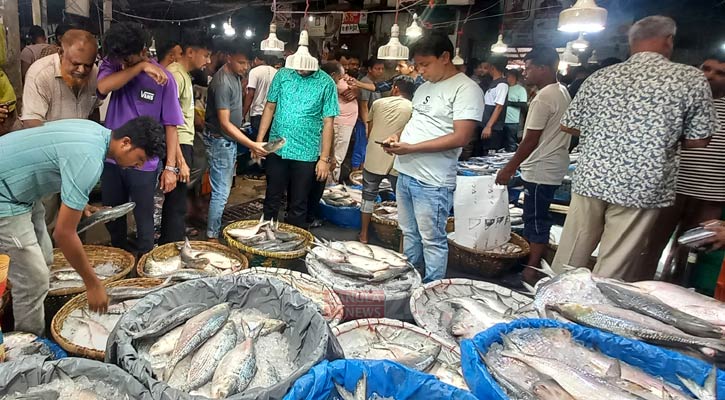 জন্মাষ্টমীতে বেড়েছে ইলিশের দাম, নেই বাজার তদারকি