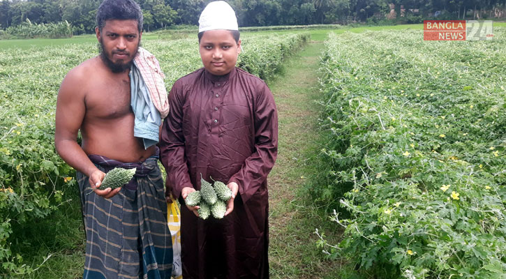 রাজবাড়ীতে করলা চাষে দ্বিগুণ লাভে খুশি কৃষক