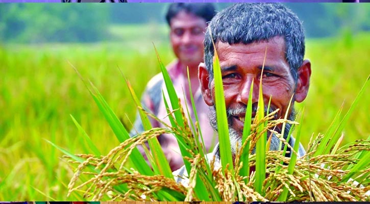 দুই মাসে কৃষি ঋণ বিতরণ ৫৩০৮ কোটি টাকা