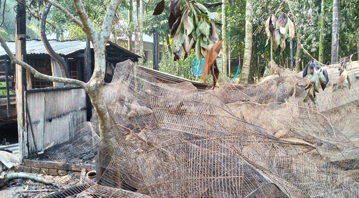 আগুনে পুড়ল ৪ হাজার পাখি, নিঃস্ব তরুণ উদ্যোক্তা