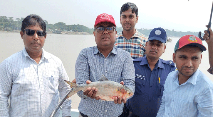 নিষেধাজ্ঞা অমান্য করে ইলিশ ধরায় ১০ জেলে আটক