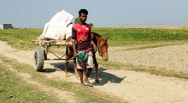 ঘোড়ার গাড়ি চালিয়ে সংসার চালান রিপন