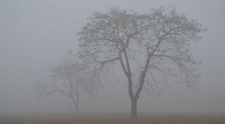 মধ্যরাত থেকে সকাল পর্যন্ত ঘন কুয়াশা পড়তে পারে