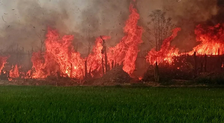 কুষ্টিয়ায় আগুনে ২ কি.মি পানের বরজ পুড়ে ছাই