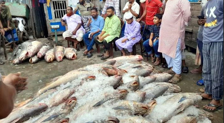 ১৪ দিনের ব্যবধানে ফের ধরা পড়ল ২৫ লাখ টাকার লাক্ষা মাছ