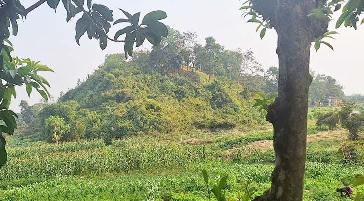 মিয়ানমার থেকে পালিয়ে বিজিপির আরও ৫ সদস্য বাংলাদেশে