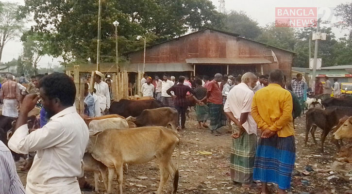 নিয়মিত বসে ‘ঝুঁকিপূর্ণ’ পশুর হাট