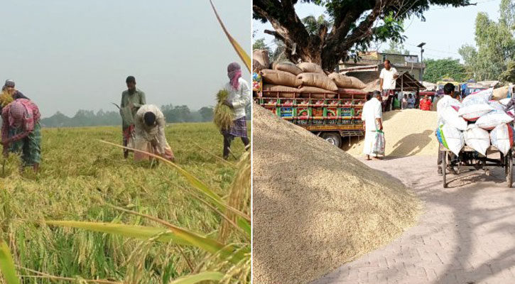 কাঙ্ক্ষিত দাম নেই ধানে, অসন্তুষ্ট কৃষক