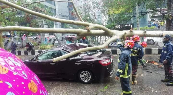 ঘূর্ণিঝড় রিমাল: রাজধানীতে প্রাইভেটকারের ওপর ভেঙে পড়ল গাছ