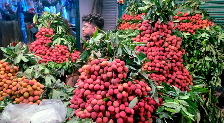 একশ লিচুর দাম ১২০০ টাকা!