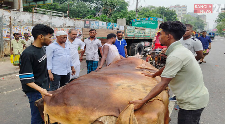 চলছে চামড়া বেচা-কেনা: গরু ৮০০, ছাগল ১০ টাকা