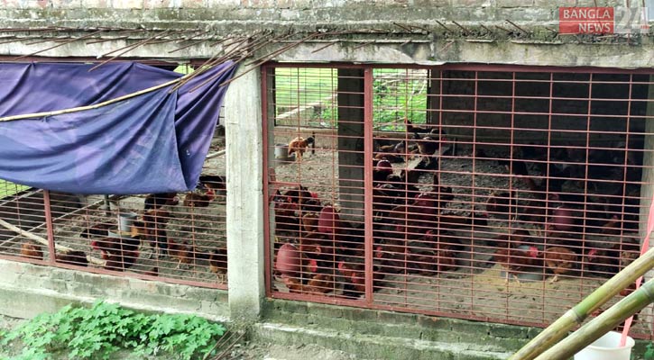 বসন্তপুর রেল স্টেশনের পাশে মুরগির খামার, দুর্গন্ধে অতিষ্ঠ যাত্রীরা