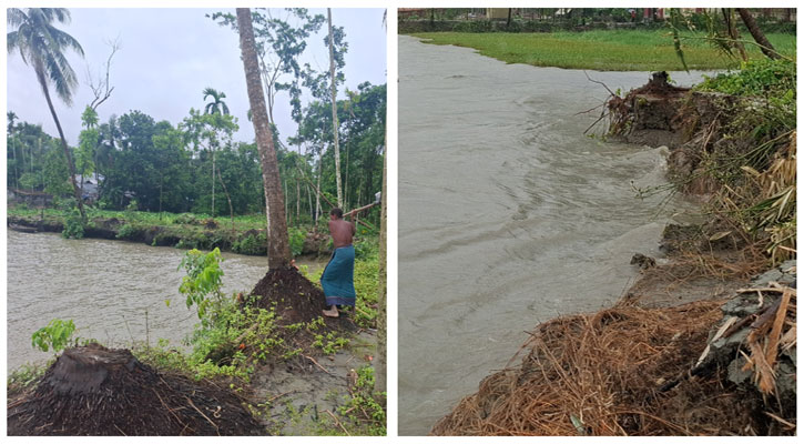 ‘স্বামীর ভিডা গ্যাছে বছর পাঁচেক আগে, এহন গেল বাপের ভিডা’