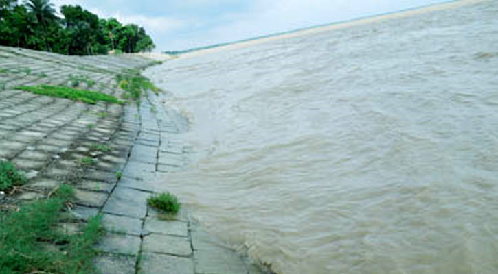 নাটোরের লালপুরে পদ্মা নদীর পানি বাড়ছে