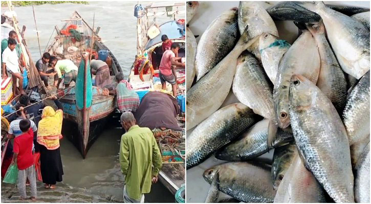 ভোলার মেঘনা-তেঁতুলিয়ায় ইলিশ ধরার উৎসবে জেলেরা