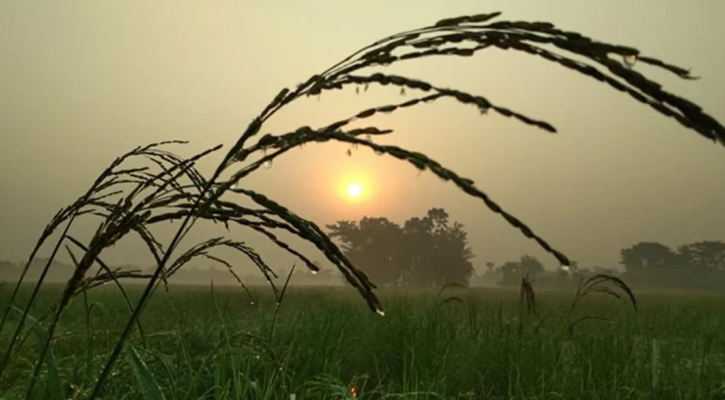 দিন-রাতের তাপমাত্রা কমবে