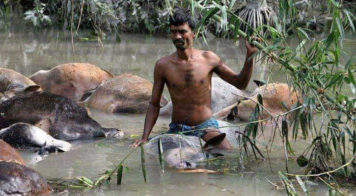 ‘সিডরের’ ভয়াল স্মৃতি এখনো তাড়া করে উপকূলবাসীকে