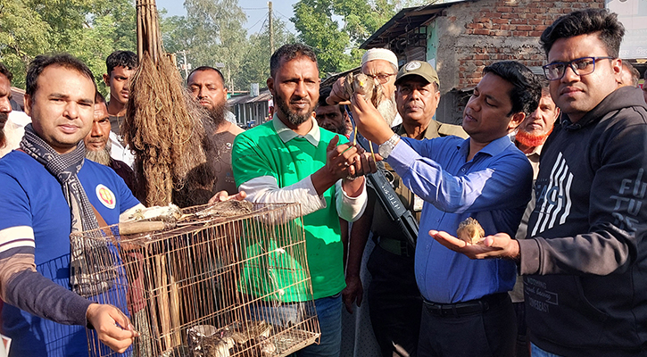 সিংড়ায় দুই পাখি শিকারিকে জরিমানা, ১৫ পাখি অবমুক্ত