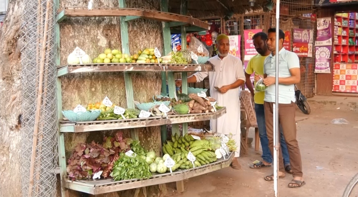 গাছ তো নয়, যেন সবজির সুপারশপ!